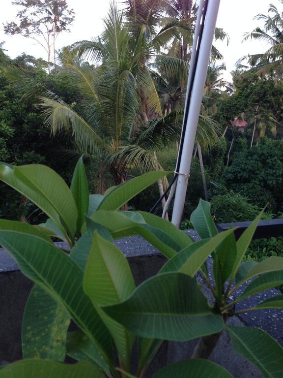 Apartamento Cebluk Sari Ubud Exterior foto